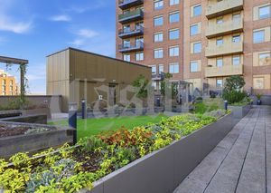 Photo 9- click for photo gallery